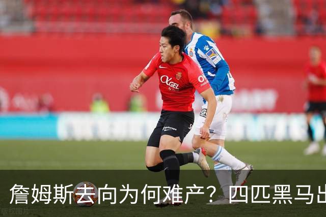 詹姆斯去向为何难产？四匹黑马出现加剧混乱
